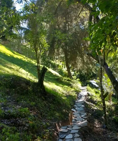 Sendero de piedra entre árboles y áreas verdes