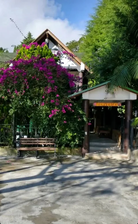 Entrada del chalet con buganvillas fucsia