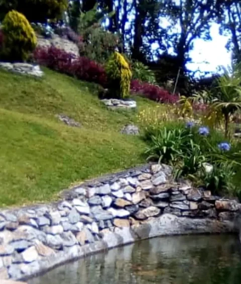 Estanque de peces koi con borde de piedra