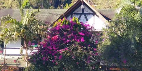 Fachada del chalet con flores fucsia al frente