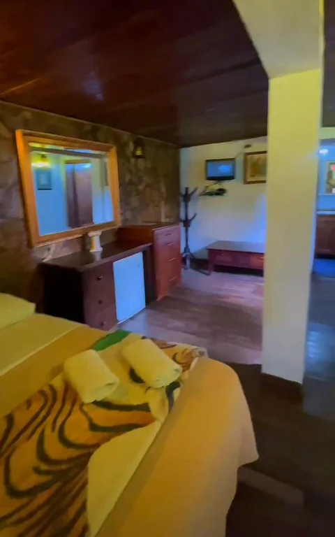 Habitación con pared de piedra, espejo dorado y televisor