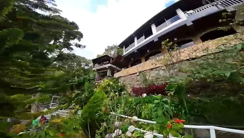 Hortensias frente al chalet