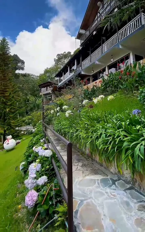 Jardín escalonado frente al edificio del chalet