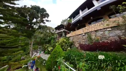 Hortensias y plantas del jardín con el chalet al fondo