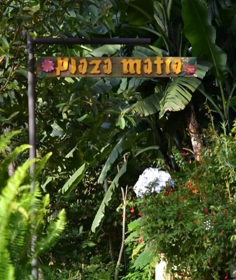 Rincón Plaza Matía con su letrero entre plantas