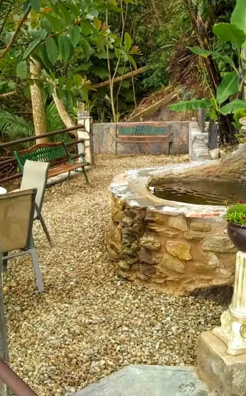 Pozo de piedra en un rincón del jardín
