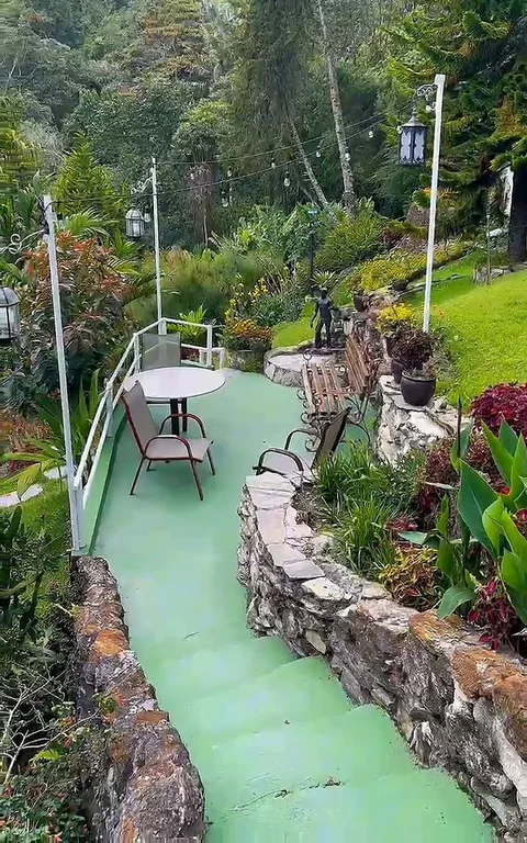 Camino verde con muro de piedra en el jardín